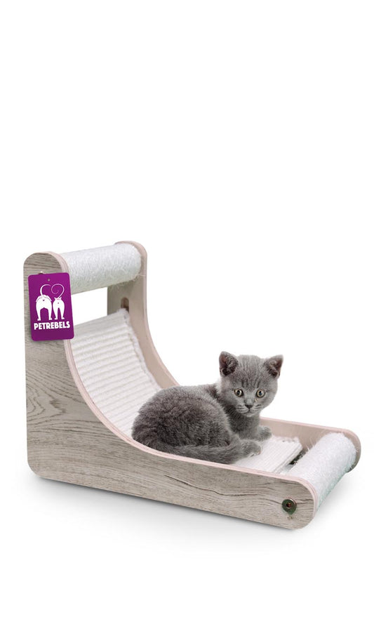 Kačių draskyklė Nashville 40