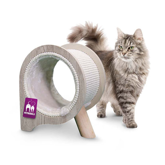 Kačių draskyklė San Diego 38