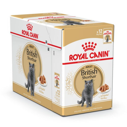 Kačių konservuotas pašaras British Shorthair