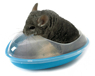 Šinšilų maudyklė