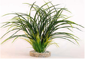 Plastikinis augalas Fan grass