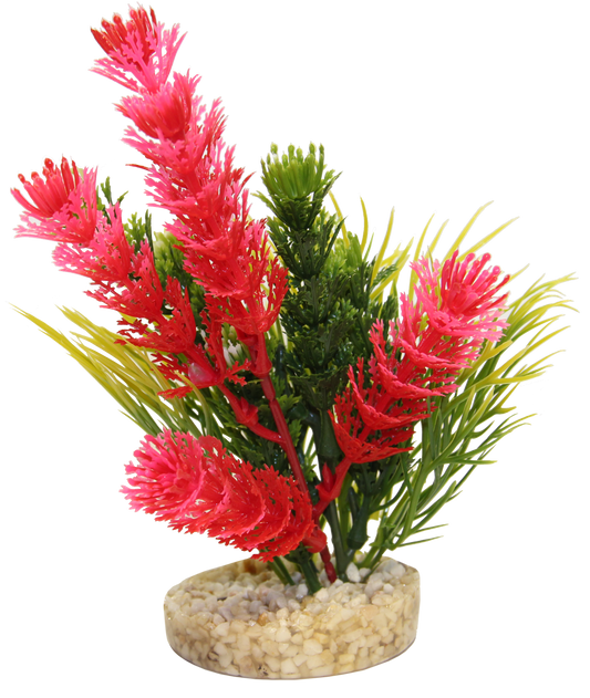 Plastikinis augalas Magic Fiesta Colours