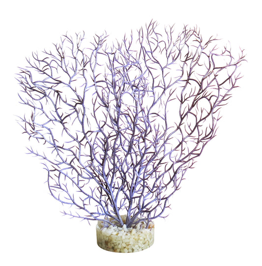 Akvariumų augalas Coral Hedge