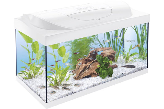 Starter Line LED akvariumo rinkinys