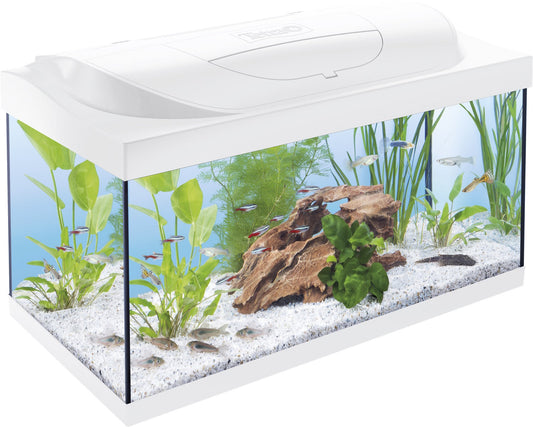 Starter Line LED akvariumo rinkinys