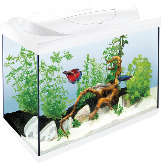 Starter Line LED akvariumo rinkinys