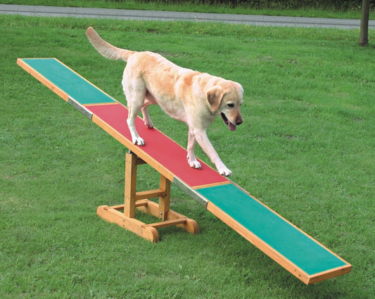 Šunų AGILITY treniruoklis