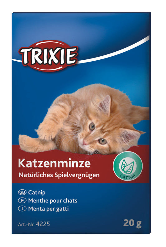 Katžolė katėms