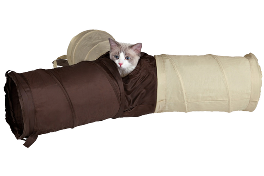 Žaidimas katei - tunelis