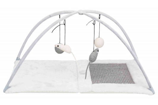 Kačių kilimėlis-draskyklė