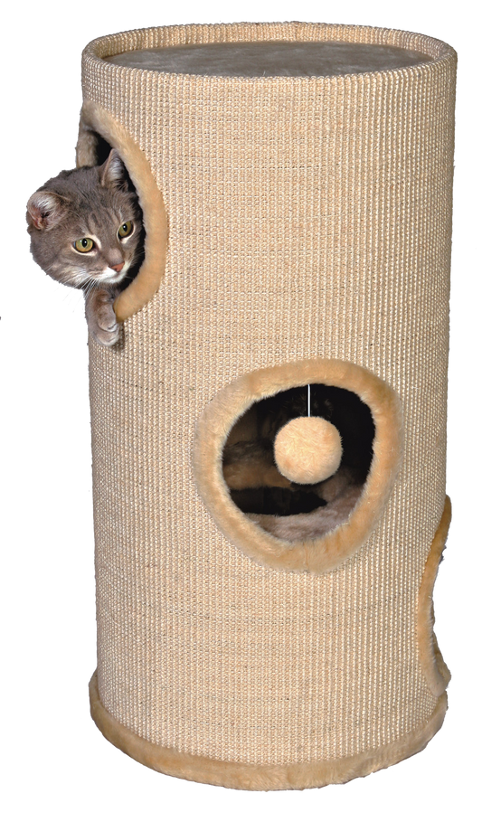 Draskyklė bokštas Samuel