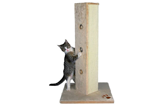 Kačių stovas Soria