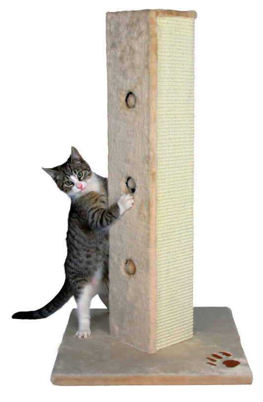 Kačių stovas Soria