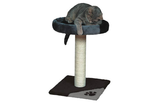 Kačių stovas Tarifa