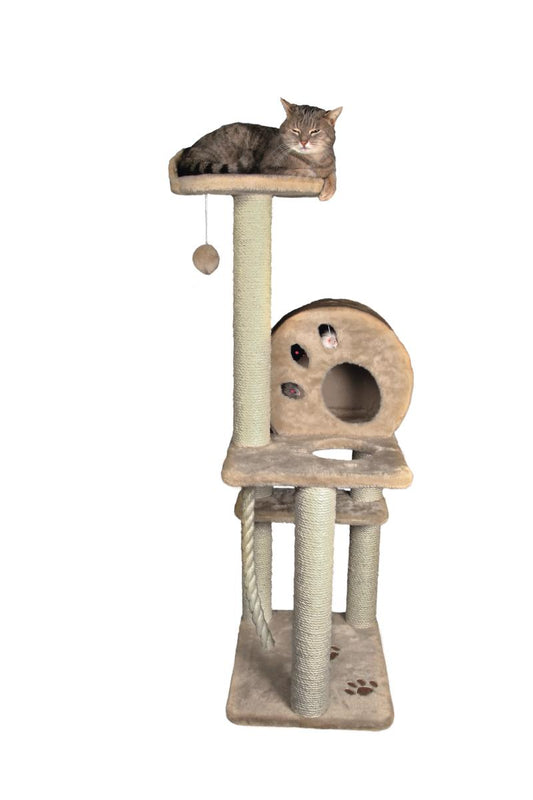 Kačių stovas Salamanca