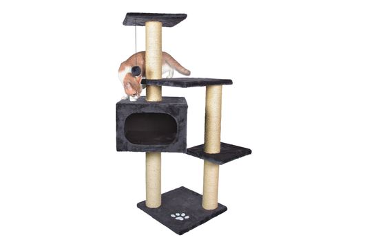 Kačių stovas Palamos