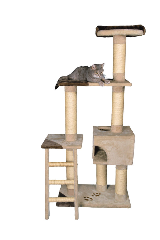 Kačių stovas Montoro