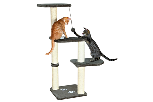 Kačių stovas Altea