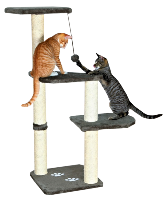 Kačių stovas Altea