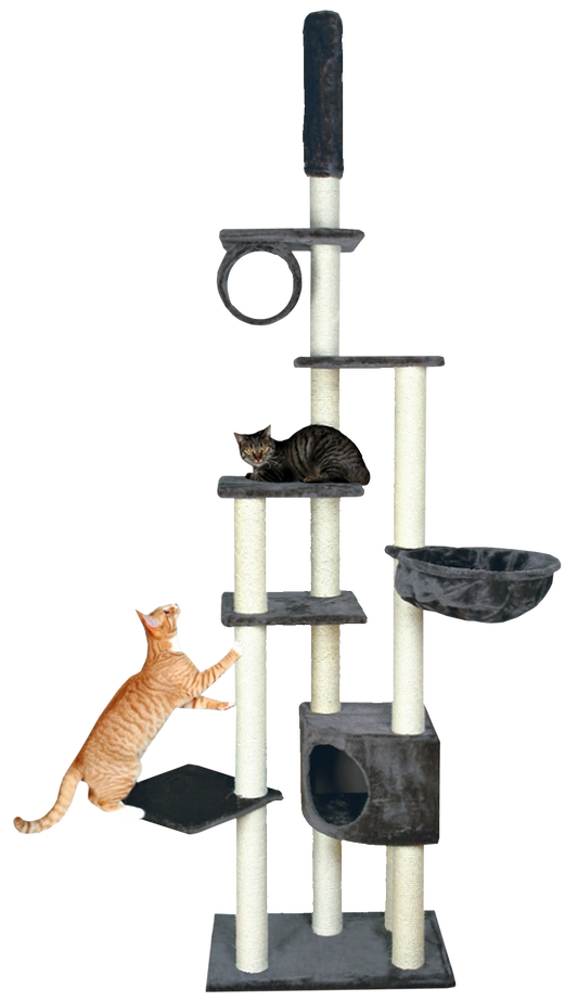 Kačių stovas Madrid