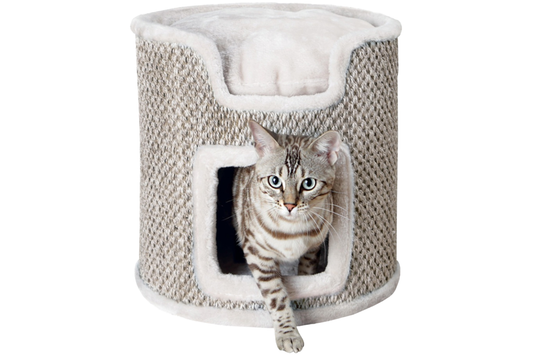 Kačių draskyklė - bokštas