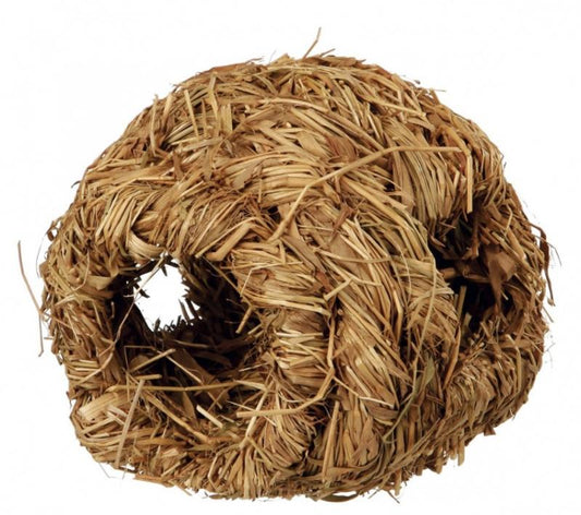 Pintas graužikų namas