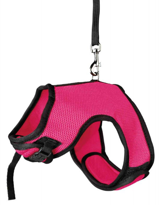 Paminkštintos graužikų petnešos su pavadėliu dideliems triušiams