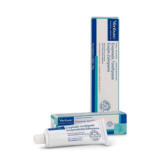 Žuvies skonio kačių dantų pasta profilaktikai nuo periodonto ligų