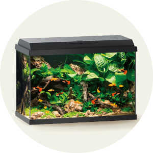 Akvariumai ir spintelės